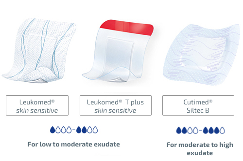 Image showing Leukoplast skin sensitive, Leukoplast T plus skin sensitive and Cutimed Siltec B  Image showing Leukoplast skin sensitive, Leukoplast T plus skin sensitive and Cutimed Siltec B